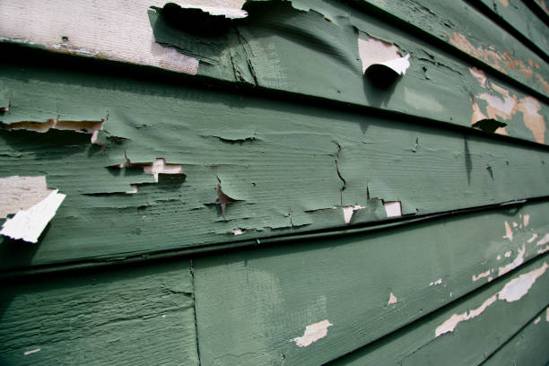 Custom Trim and Detailing for Siding in Seattle, WA